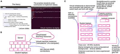 Interdisciplinary and Transferable Concepts in Bioinformatics Education: Observations and Approaches From a UK MSc Course